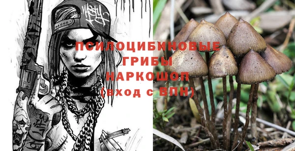 прущие крисы Алексин